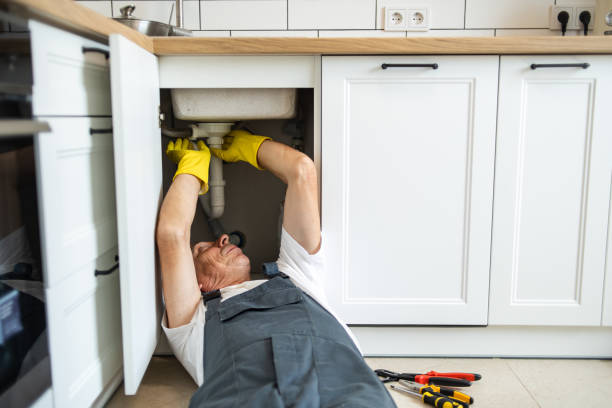  Ben Lomond, CA Plumbing Pros